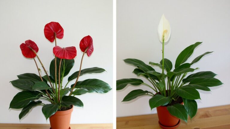 indoor plant growth comparison