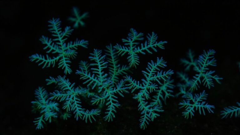 moss luminescence explained scientifically