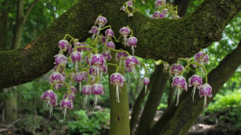 upside down growing plants