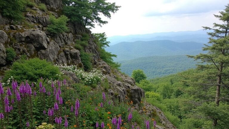 west virginia mountain flora