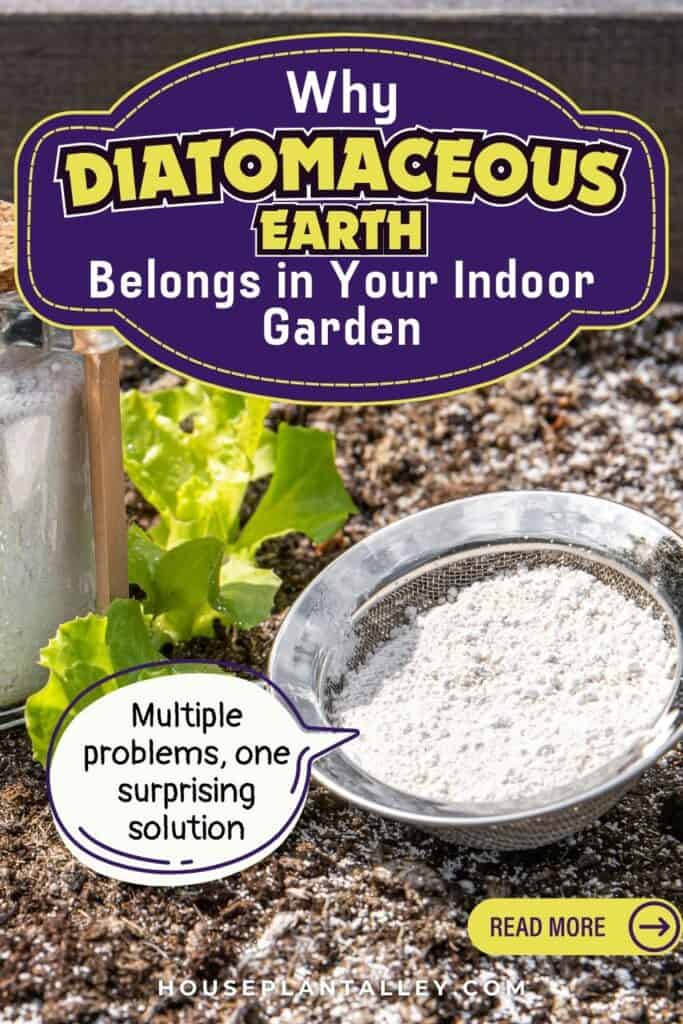 0016 Using Diatomaceous Earth for House Plants Indoor Pest Free Soil Easy Care Tips