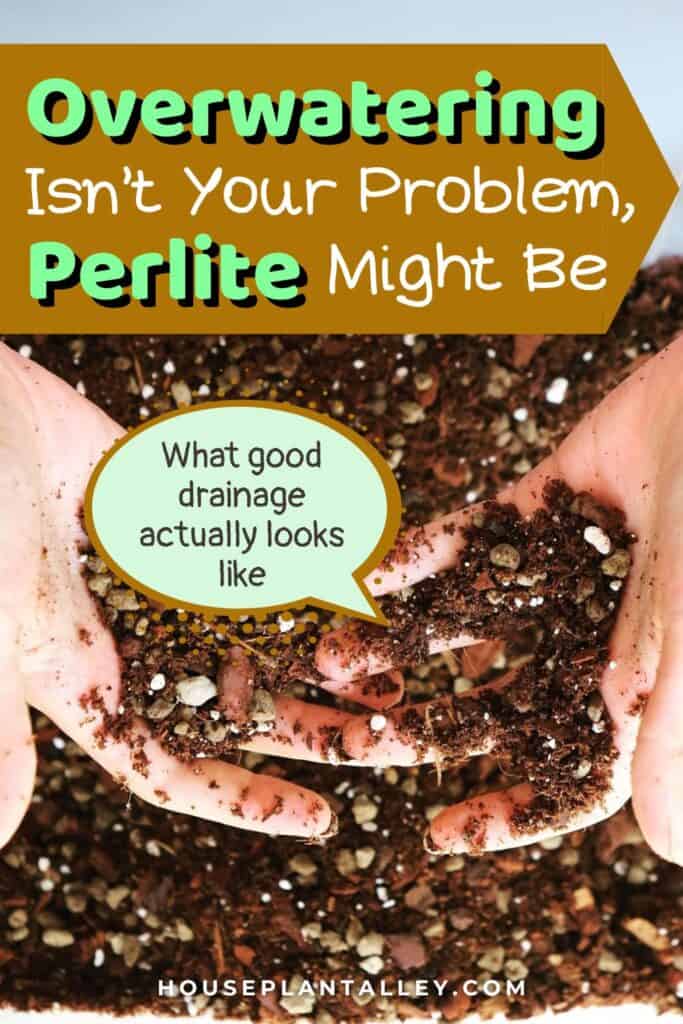 0099d Soil Mix for Indoor Plants Perlite Tips for Thriving Houseplants