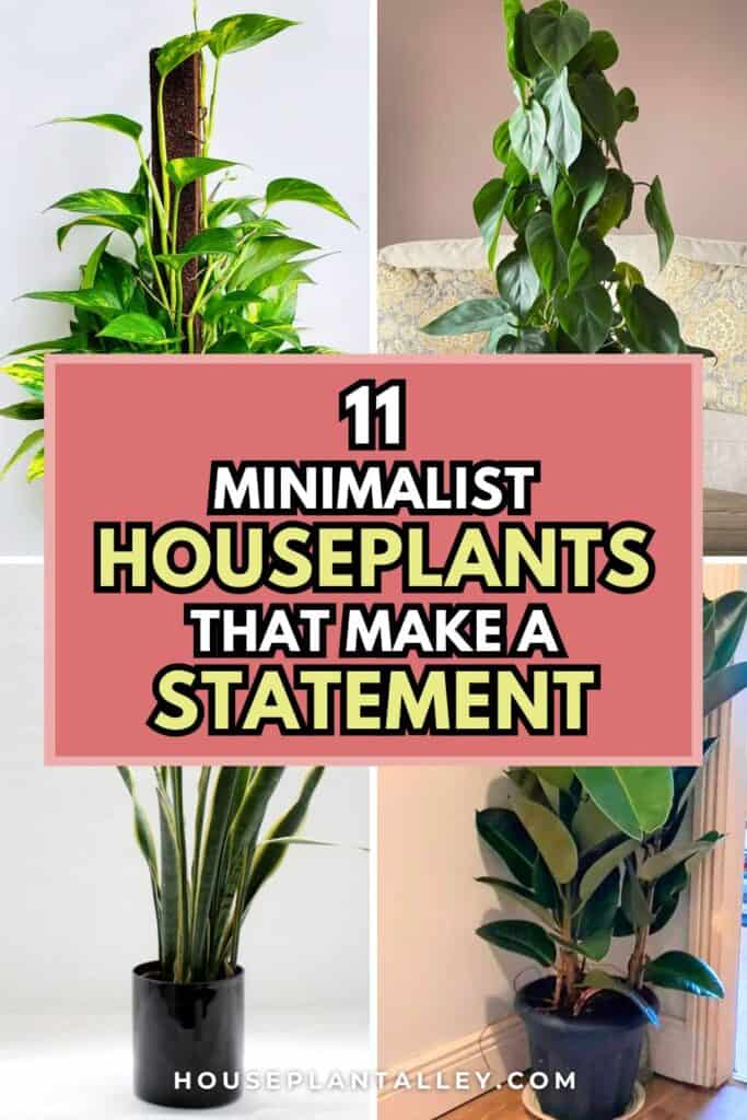 0109 Minimalist Living Room Decor With Modern House Plants Indoor