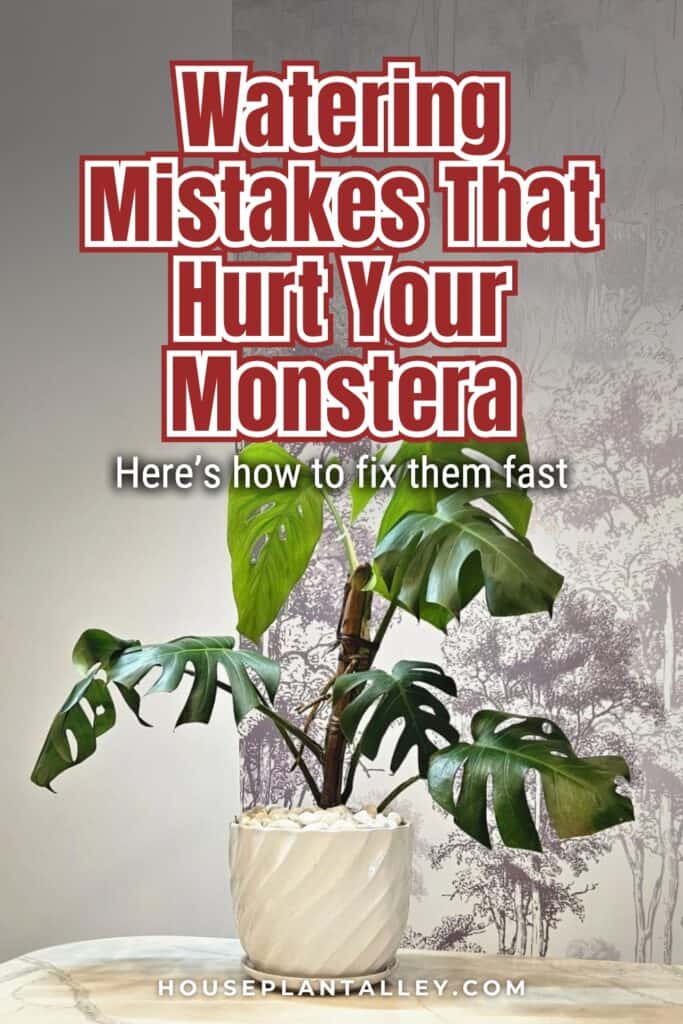 0116 Master Monstera Watering Tips for Healthy Monstera Deliciosa Adansonii Variegata Plants