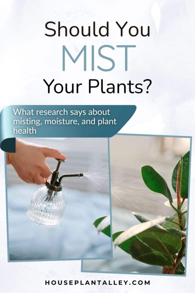 0145c Should You Mist House Plants Indoor Watering Myths Uncovered