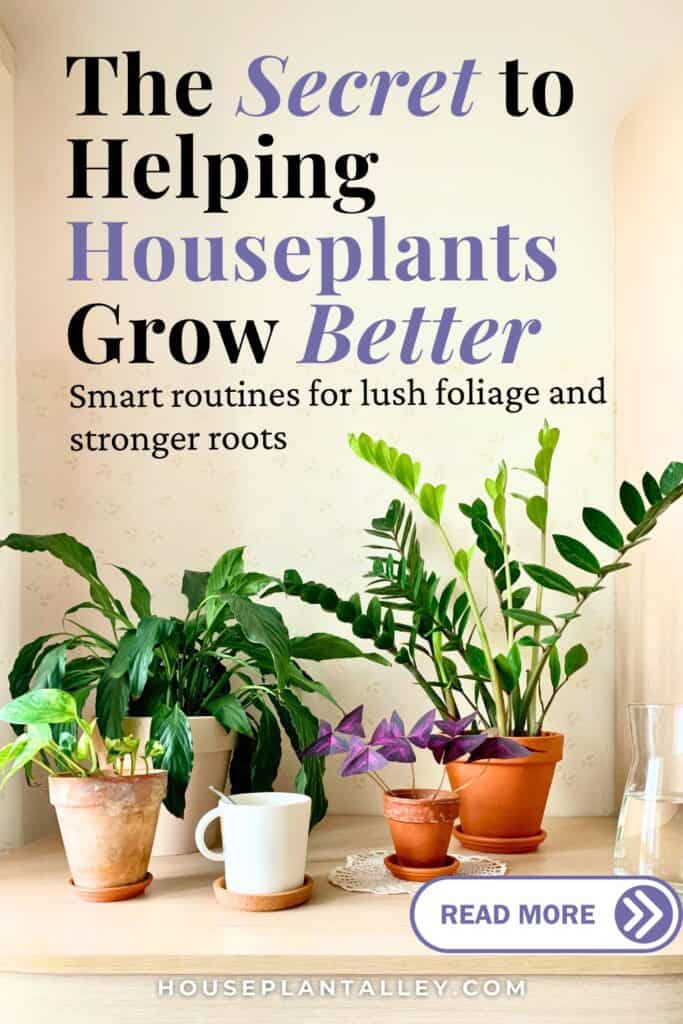 0149a Easy Indoor Plants Care Tips to Revive Droopy Home Greenery