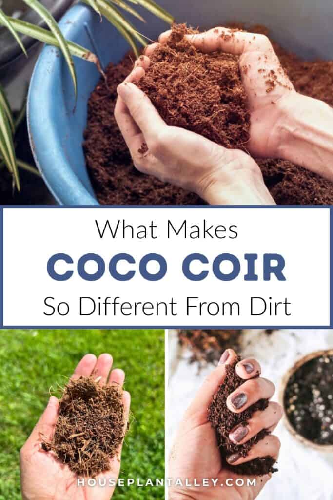 0160e Coco Coir Tips for Healthy Roots in Potted Indoor Plants