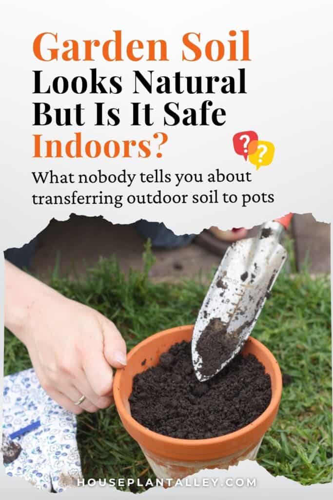 0189 Can Garden Soil Be Used for Home Plants Indoor Pros Cons Revealed