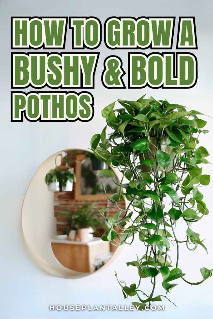 0190 Boost Pothos Growth Keep Vibrant Leaves With Expert Care