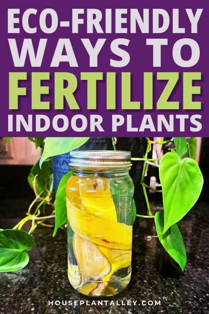 1272c Natural Fertilizer for House Plants Indoor—Simple Effective Tips