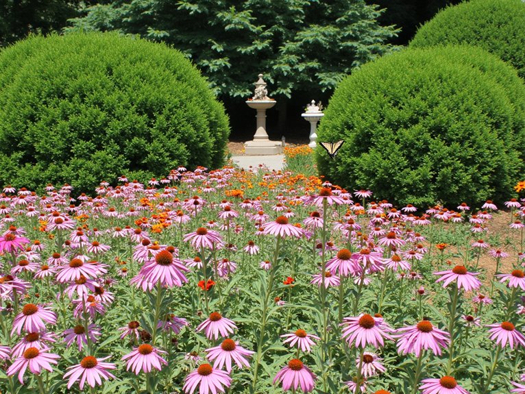 butterfly friendly garden design