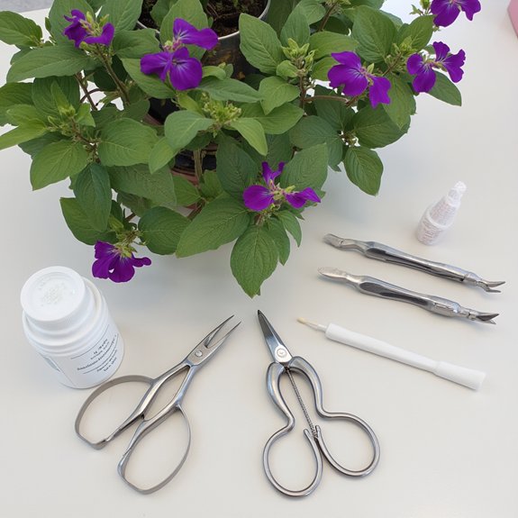 essential pruning tools needed