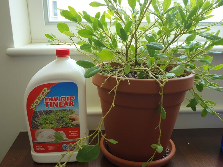 fertilizer isn t a solution