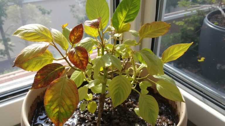 plant care pitfalls to avoid