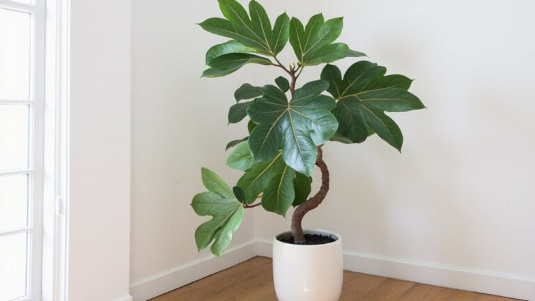 straighten your fiddle leaf
